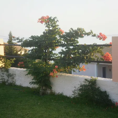 Alkioni Trapezaki (Kefalonia)